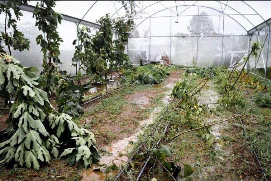 A picture containing sky, outdoor, grass, greenhouse Description automatically generated